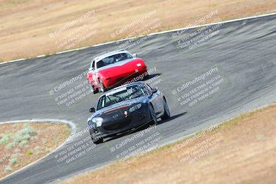 media/May-06-2023-Lucky Dog Racing (Sat) [[8f2256f436]]/Turn 2 10a/